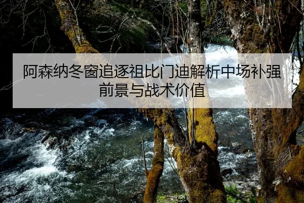 阿森纳冬窗追逐祖比门迪解析中场补强前景与战术价值